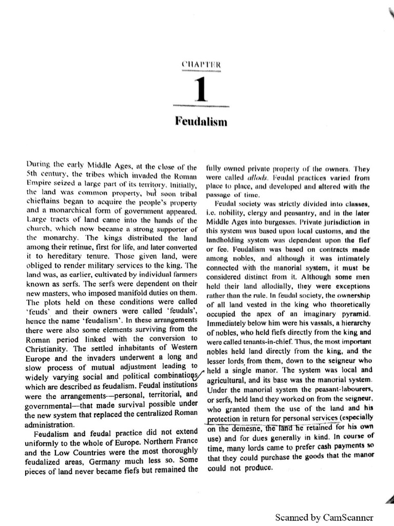 Understanding Feudalism's Structure | PDF | Feudalism | Peasant