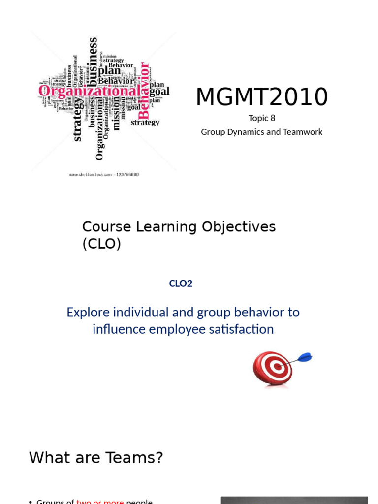 Understanding Team Dynamics and Effectiveness | PDF | Motivation ...