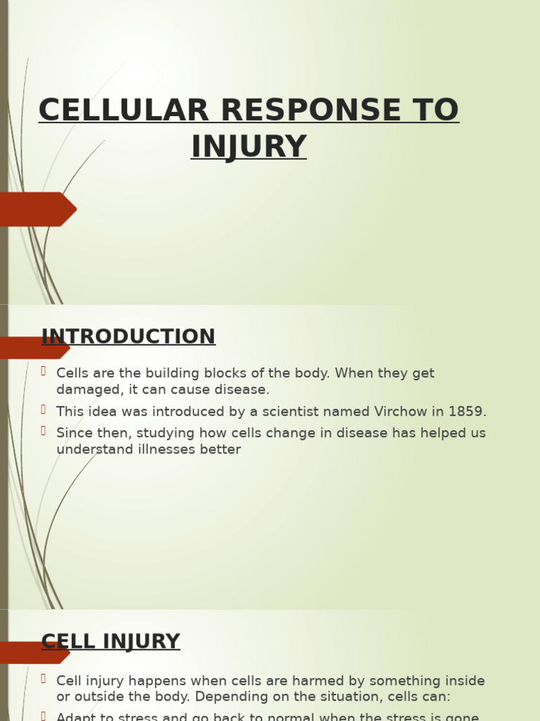 Cellular Response To Injury | PDF | Cell (Biology) | Mitochondrion