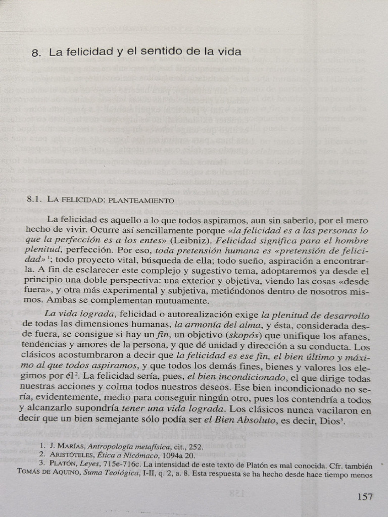 13 La Felicidad y El Sentido de La Vida - Yepes - Aranguren | PDF ...