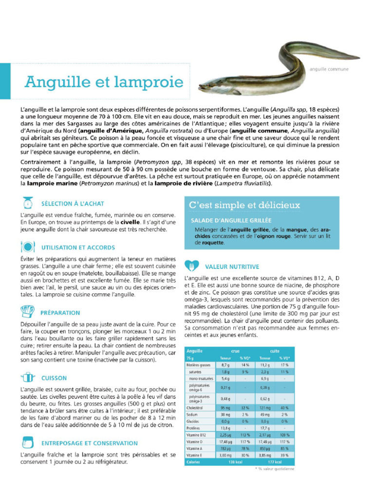 Anguille Et Lamproie | PDF