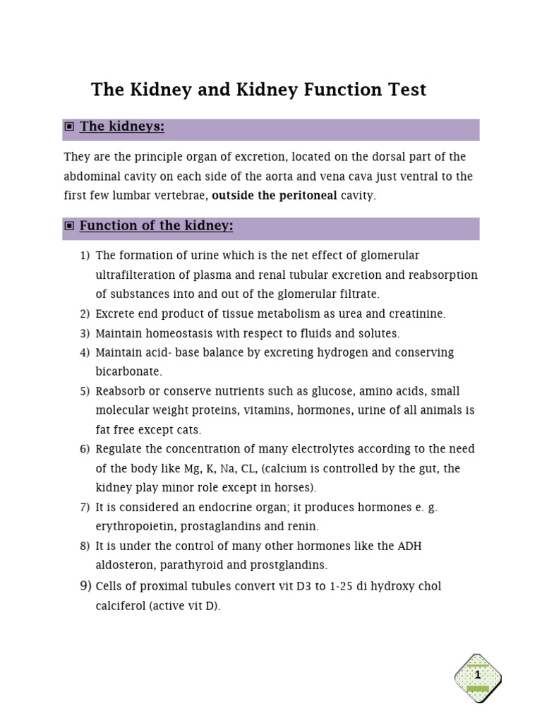 The Kidney and Kidney Function Test 2019 | PDF | Kidney | Creatinine