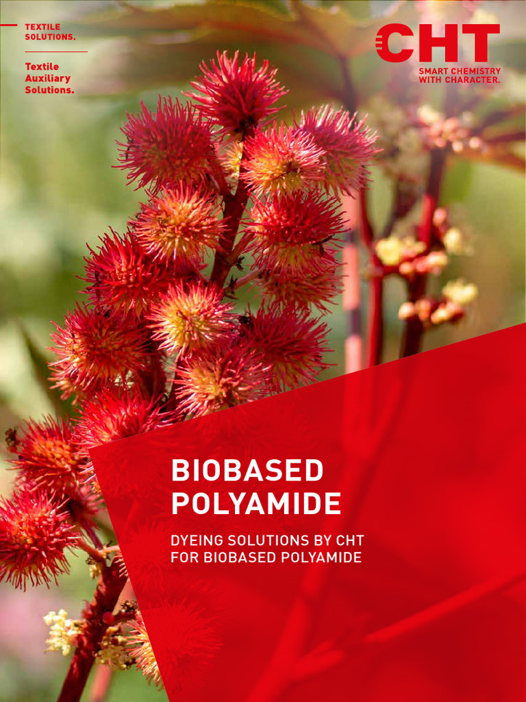 Sustainable Dyeing of Biobased Polyamides | PDF | Dyeing | Recycling