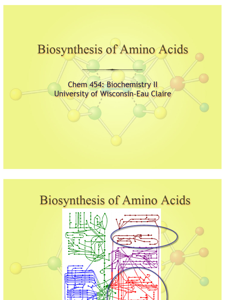 Amino Acid Biosynthesis Overview | PDF | Biosynthesis | Amino Acid