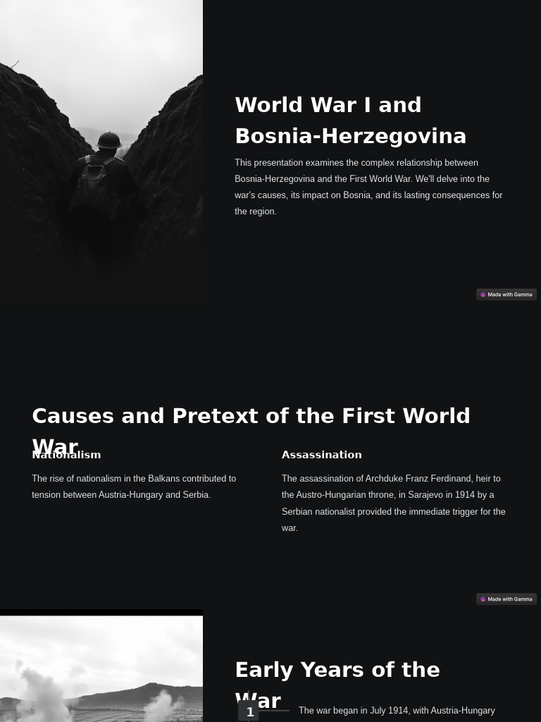 World War I and Bosnia Herzegovina 5 | PDF | Bosnia And Herzegovina ...