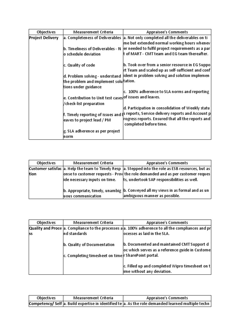 Appraisal Comments Information Technology Management Computing