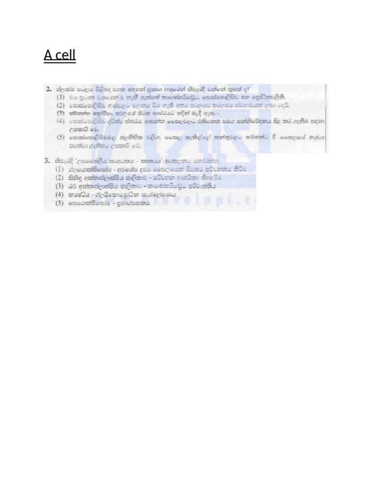 A Cell | PDF