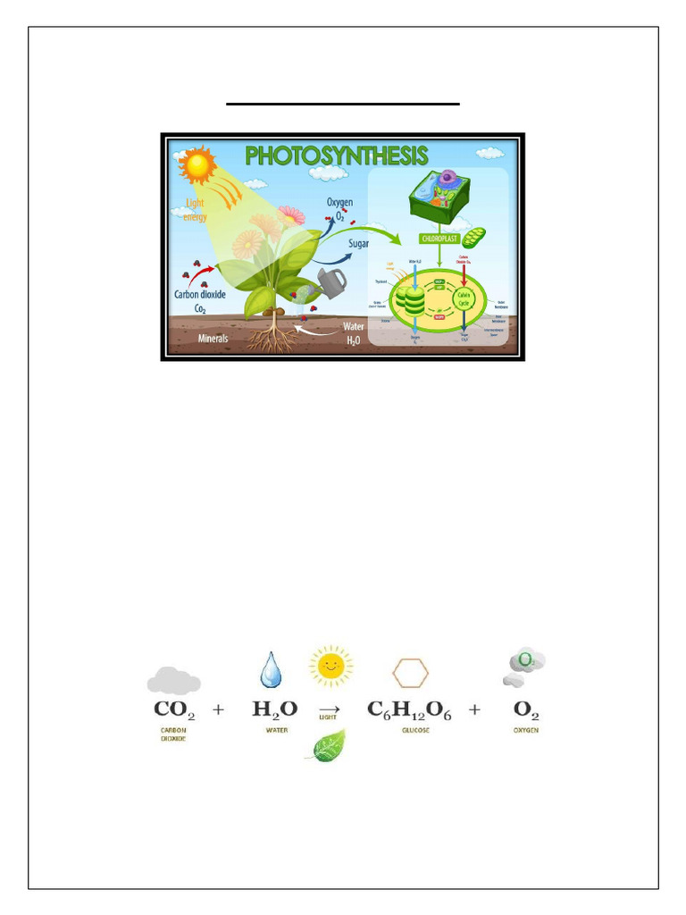 Photosynthesis Overview for Engineers | PDF | Photosynthesis | Chloroplast