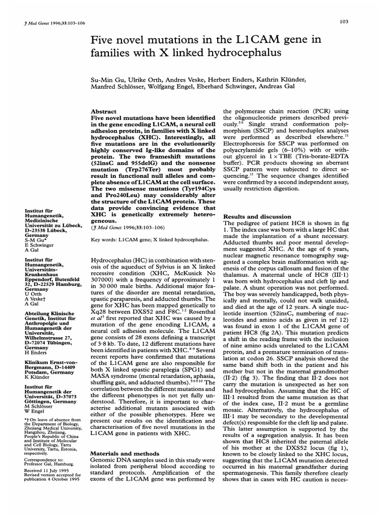 1996 Five Novel Mutations in The L1CAM Gene in Families With X Linked ...