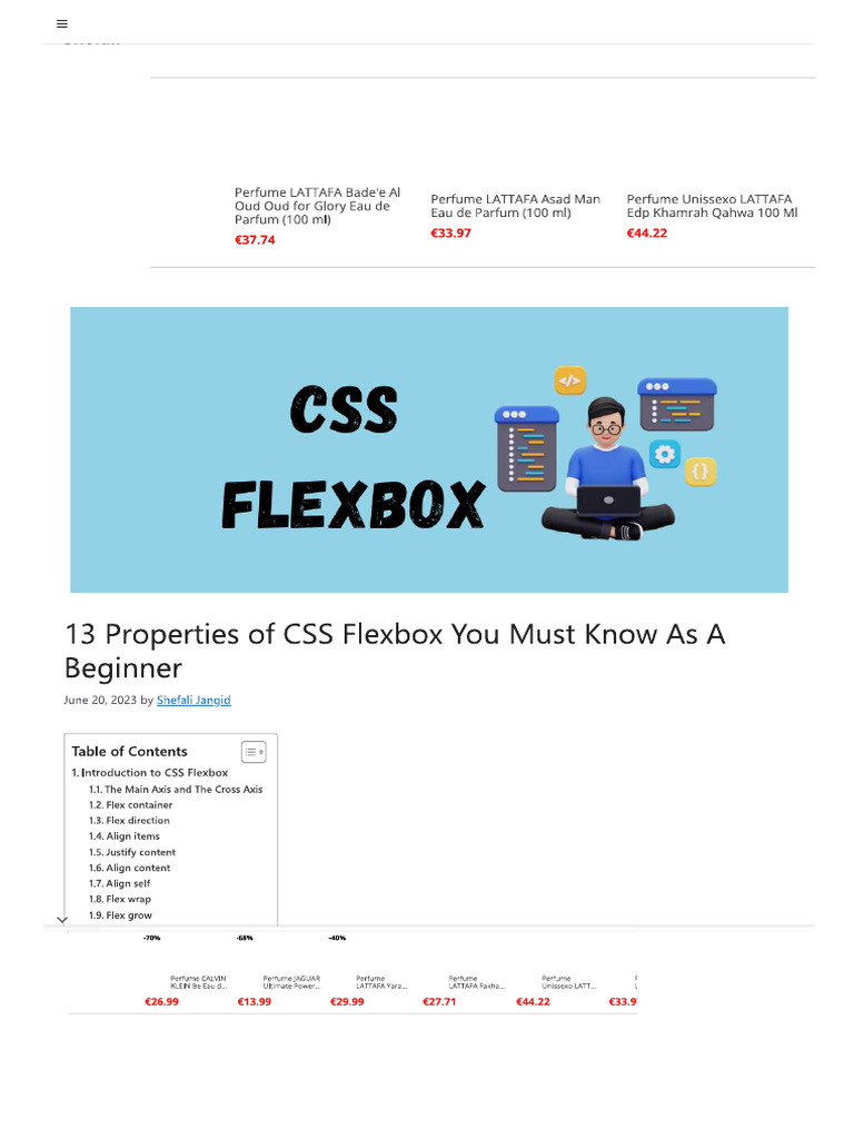 Css Flex Box | PDF