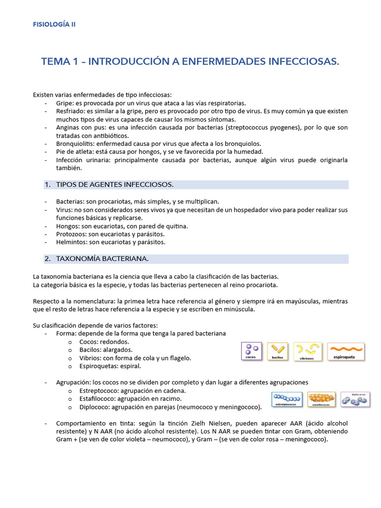 Enfermedades Infecciosas y Bacterias | PDF | Las bacterias | Virus