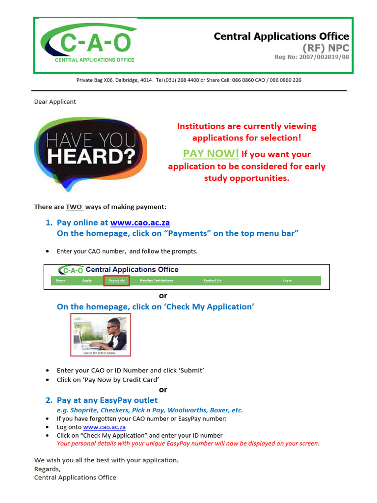 CAO Application Payment Instructions 2024 | PDF