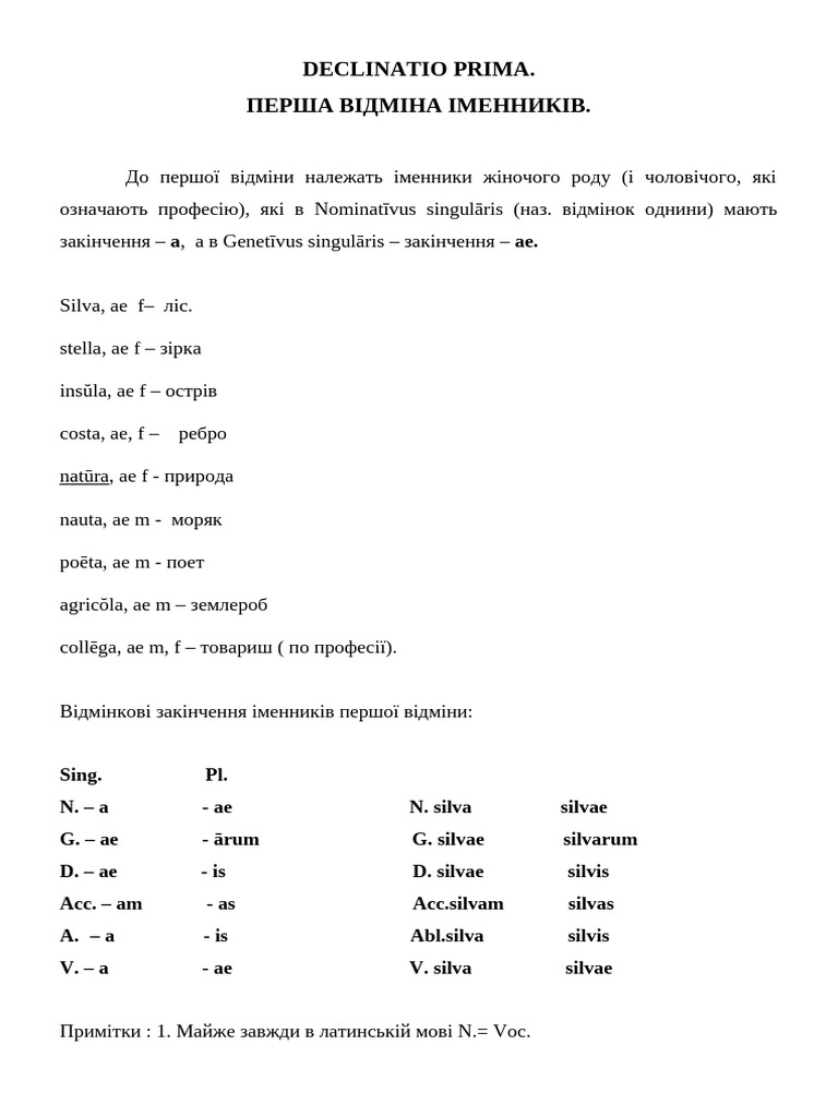 Declinatio Prima | PDF
