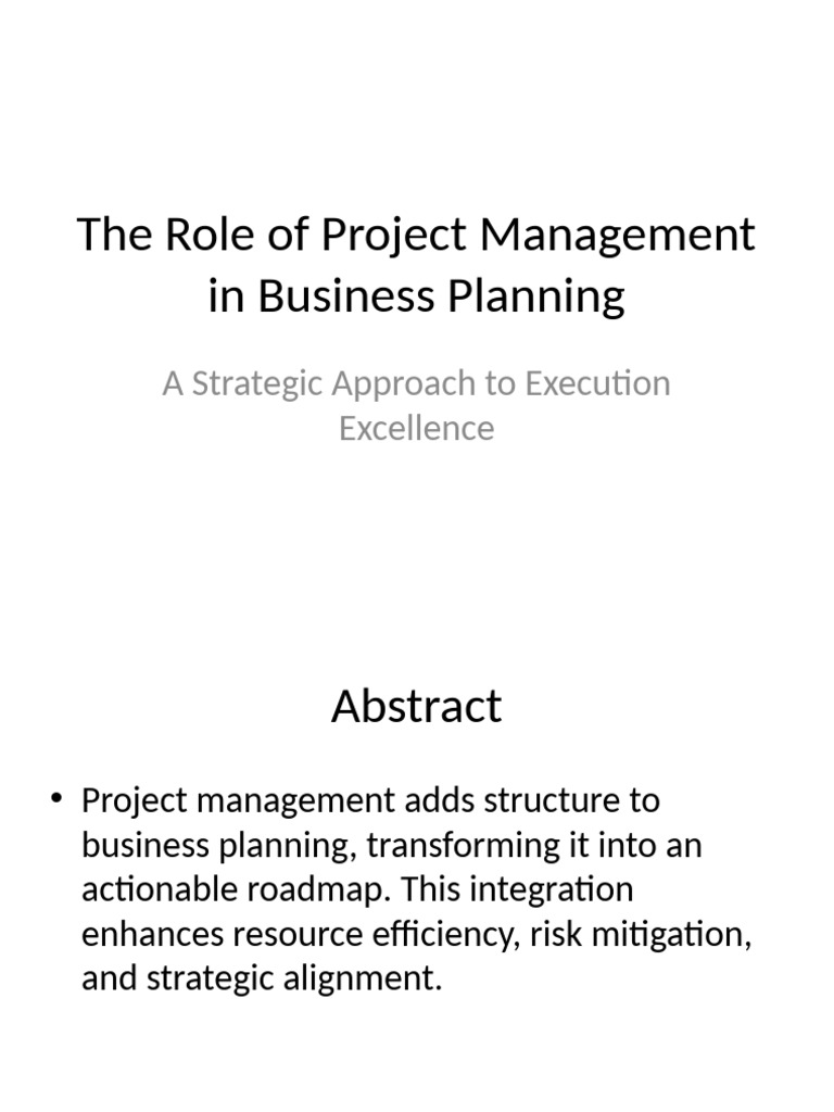 Expanded Project Management Business Plan Presentation | PDF | Project ...