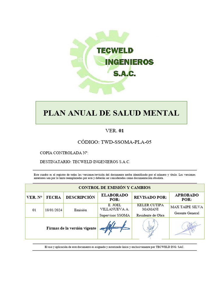 Twd-Ssoma-Pla-05 Plan Anual de Salud Mental | PDF | Salud mental ...
