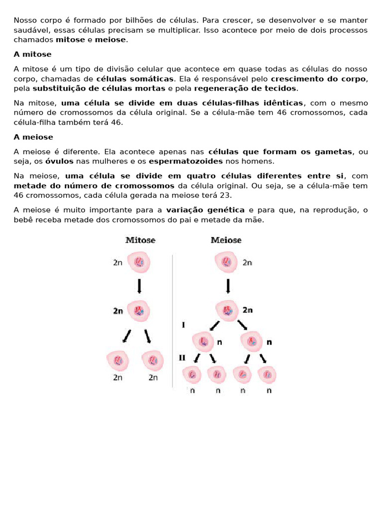 Exercícios sobre Mitose e Meiose | PDF | Meiose | Mitose