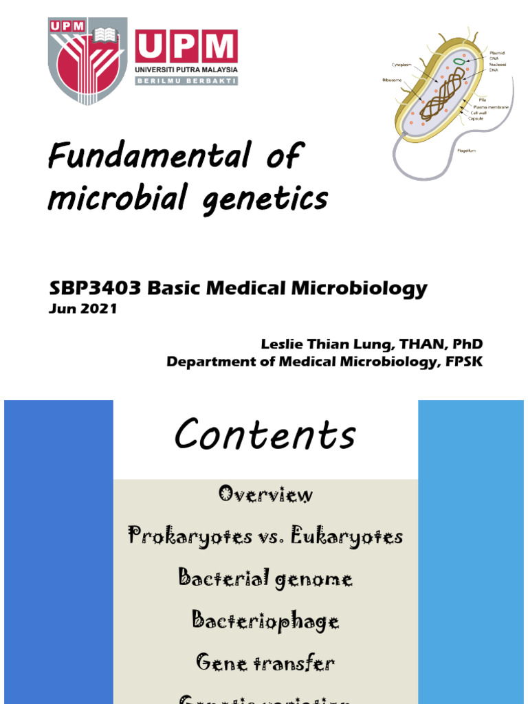 SBP3403 Fundamental of Microbial Genetics 1 Jun 21 | PDF ...