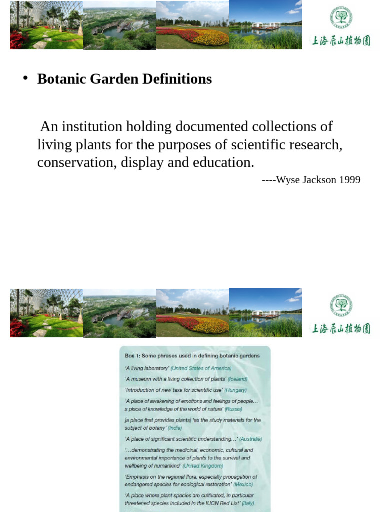 BGM Def | PDF