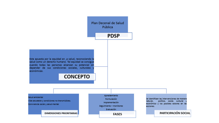 Plan Decenal De Salud Pública Pdf