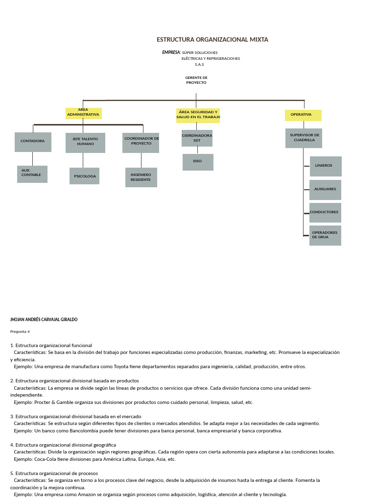 Estructura Organizacional Mixta en Empresas | PDF | Business | Economias