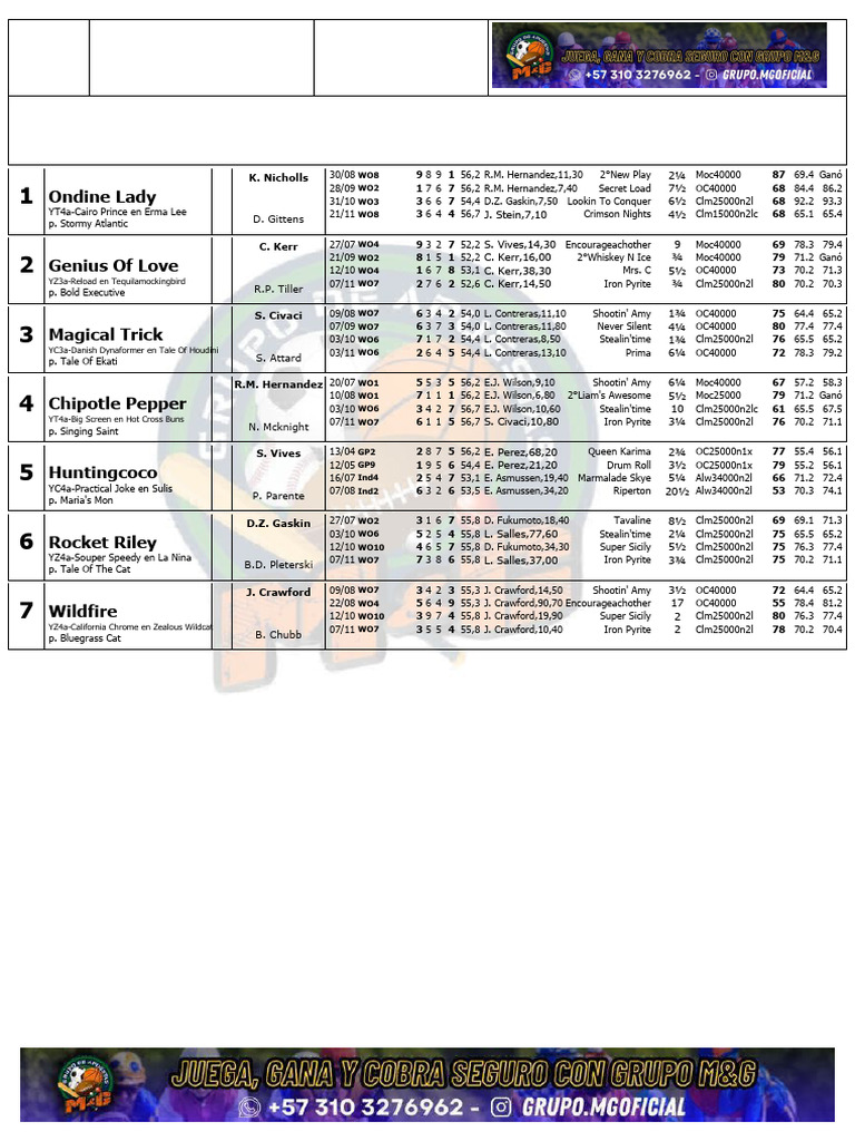 Wo 20241201 | PDF | American Racehorses | Thoroughbred Racehorses