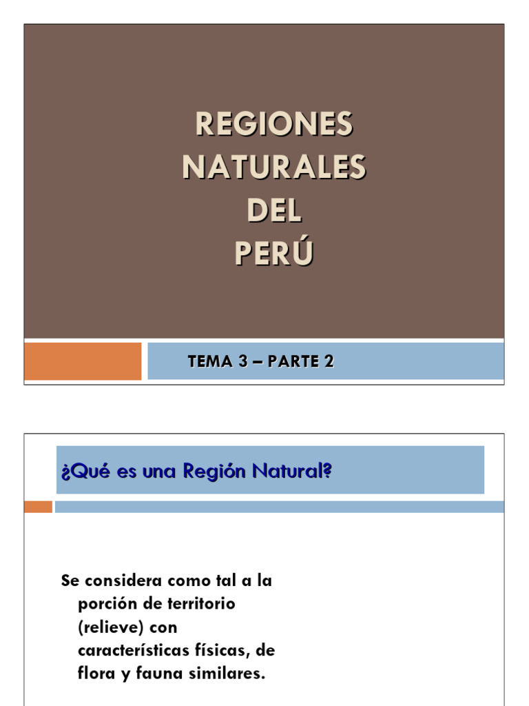 Regiones Naturales del Perú: Guía Completa | PDF | Andes | Ciencias de ...