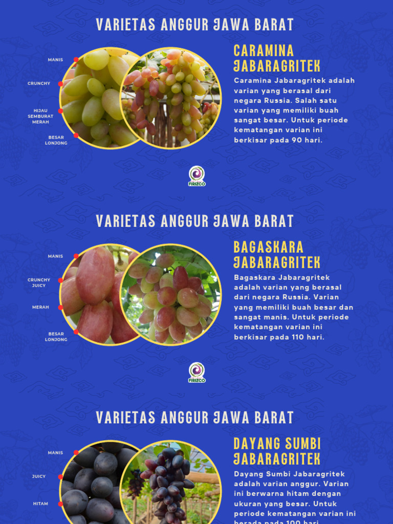 Varietas Anggur Jawa Barat | PDF