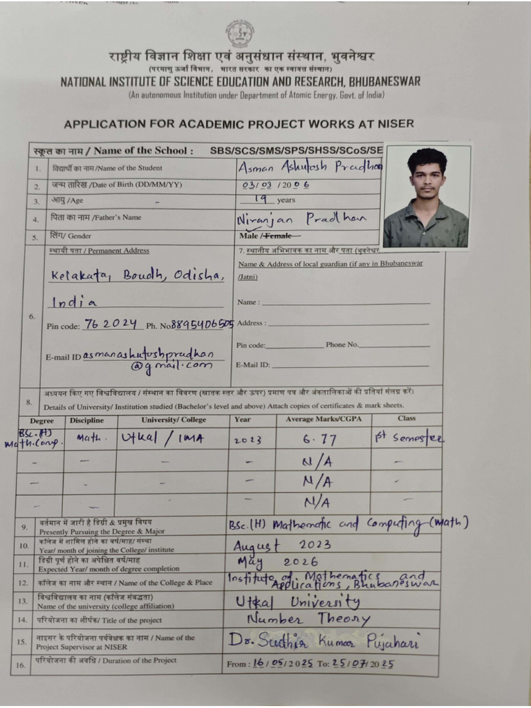 Internship Application Form | PDF