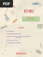 Guide sur l'ECBU et ses techniques | PDF | Appareil urinaire | Urine