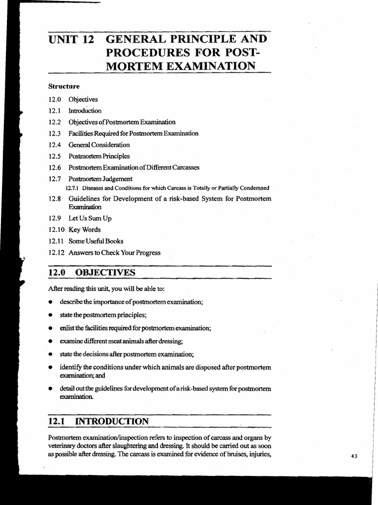 Postmortem Examination Procedures Guide | PDF | Autopsy | Heart