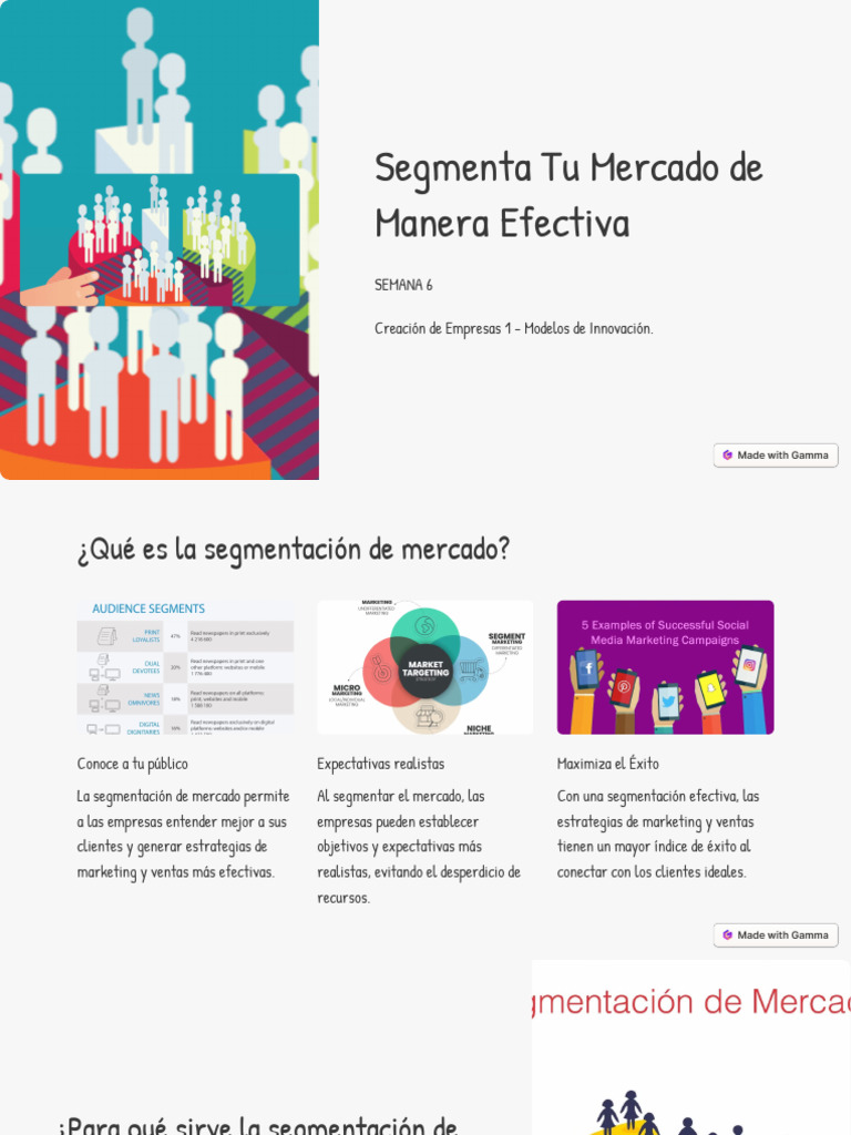 Segmentación Indiferenciada en Marketing | PDF | Segmentación de ...