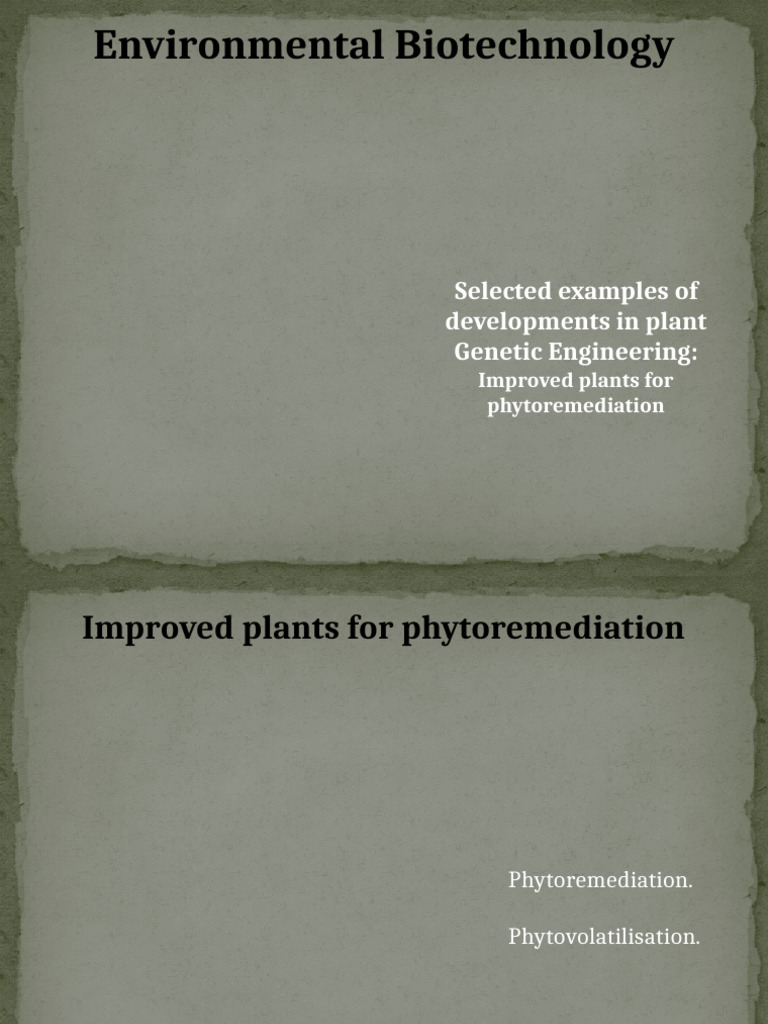 Lecture 31 Selected Examples of Developments in Plant Genetic ...