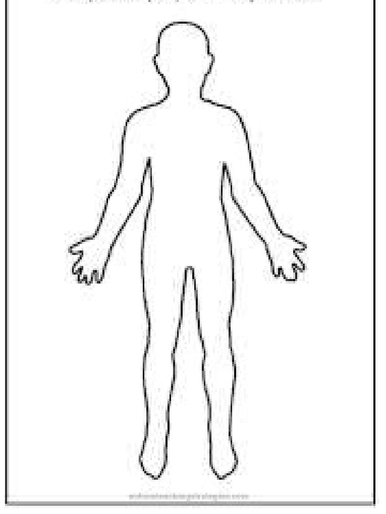 Human Body | PDF