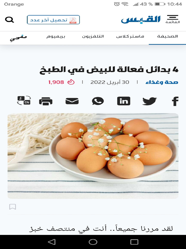 بديل البيض في المعجنات | PDF