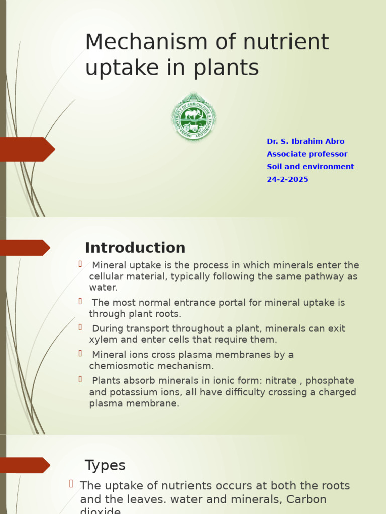 Nutrient Uptake Mechanisms in Plants | PDF | Electron Transport Chain | Ion