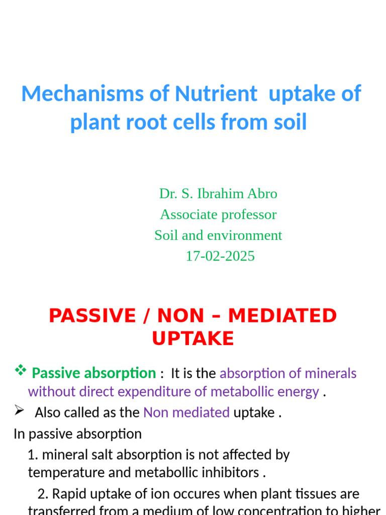 Nutrient Uptake Mechanisms in Plant Roots | PDF | Soil | Diffusion