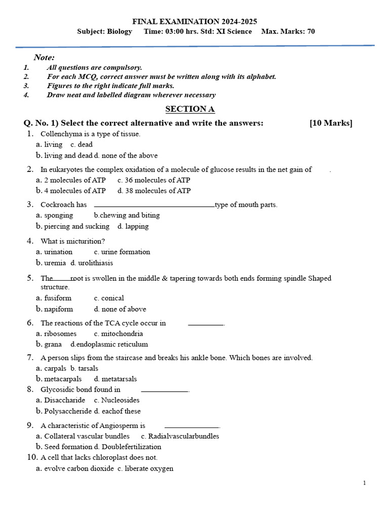Grade 11 Biology Exam Paper 2025 | PDF | Adenosine Triphosphate | Biology