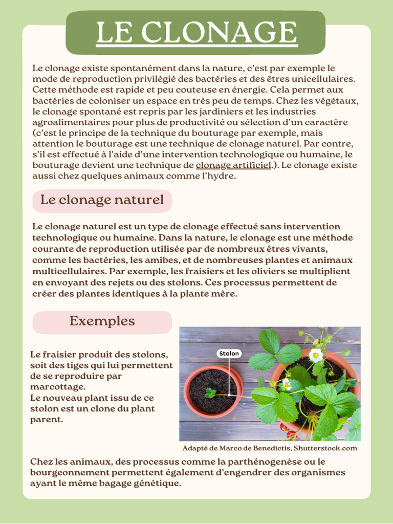 Clonage naturel : méthodes et exemples | PDF | Clonage | la reproduction