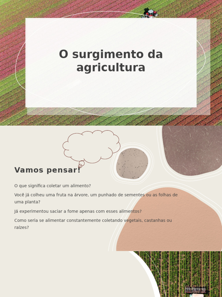 O Surgimento da Agricultura e Suas Transformações | PDF