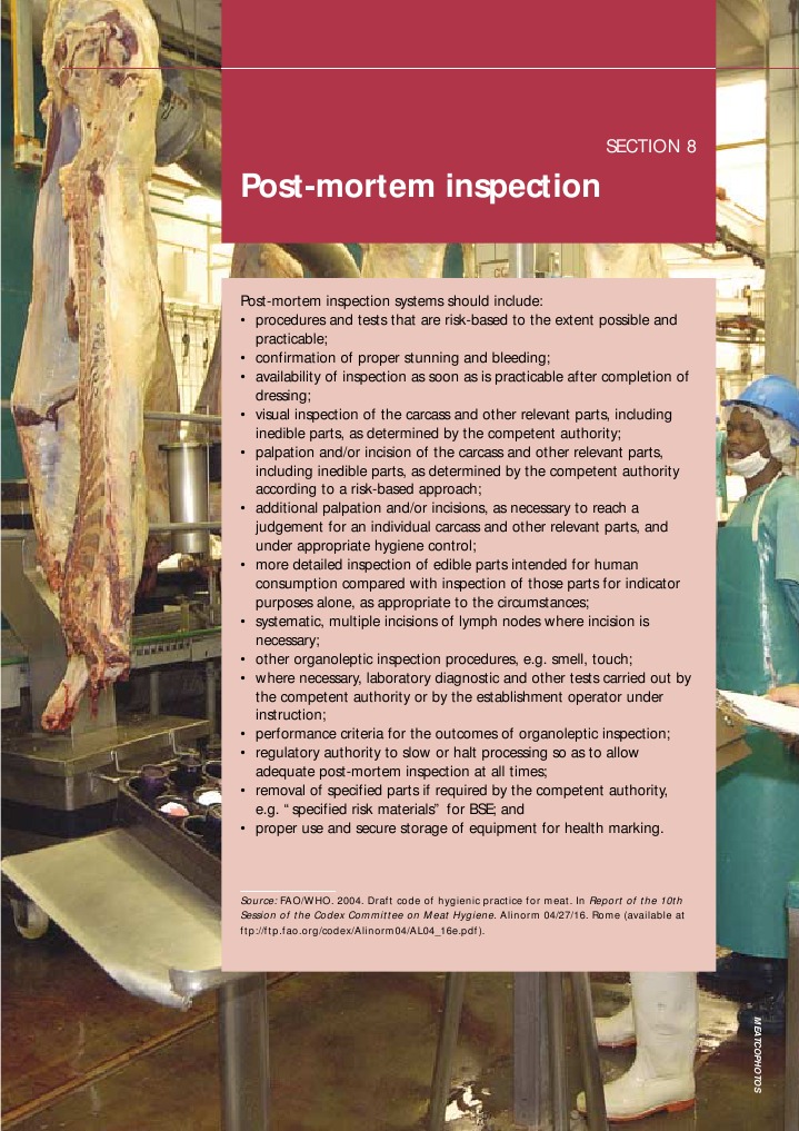 Post-Mortem Meat Inspection Protocols | PDF