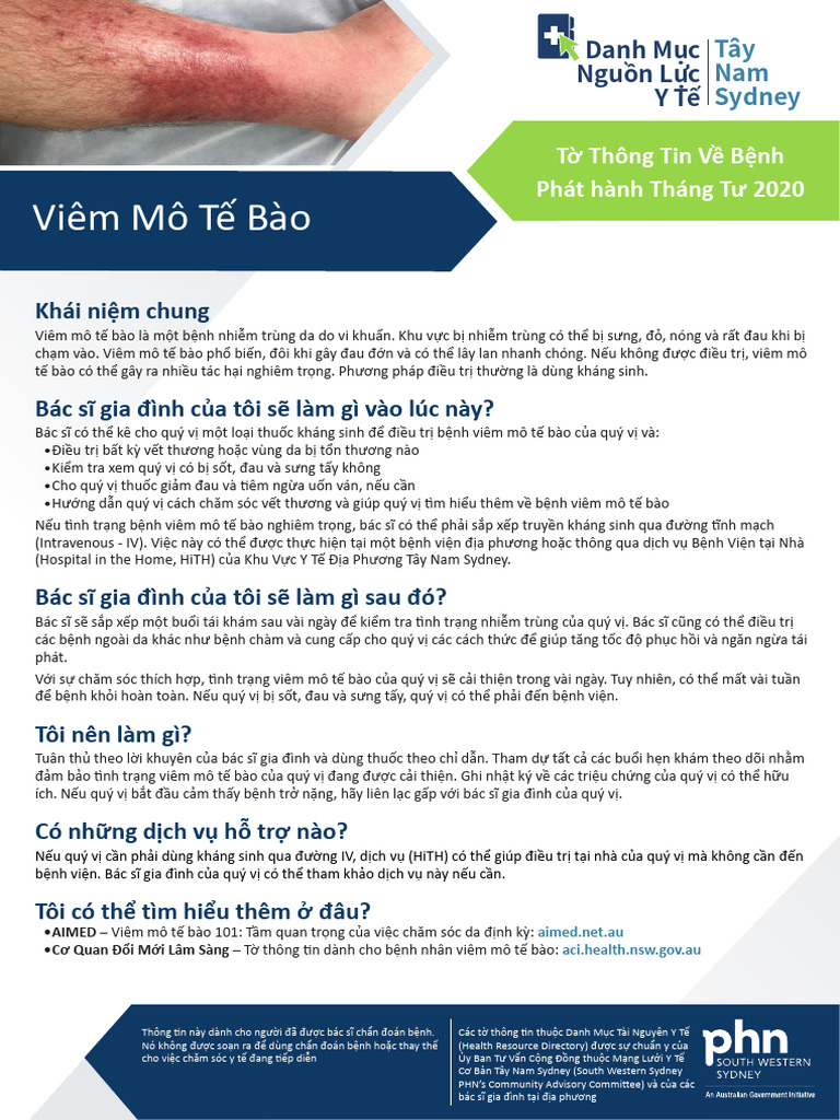 Cellulitis Vietnamese | PDF