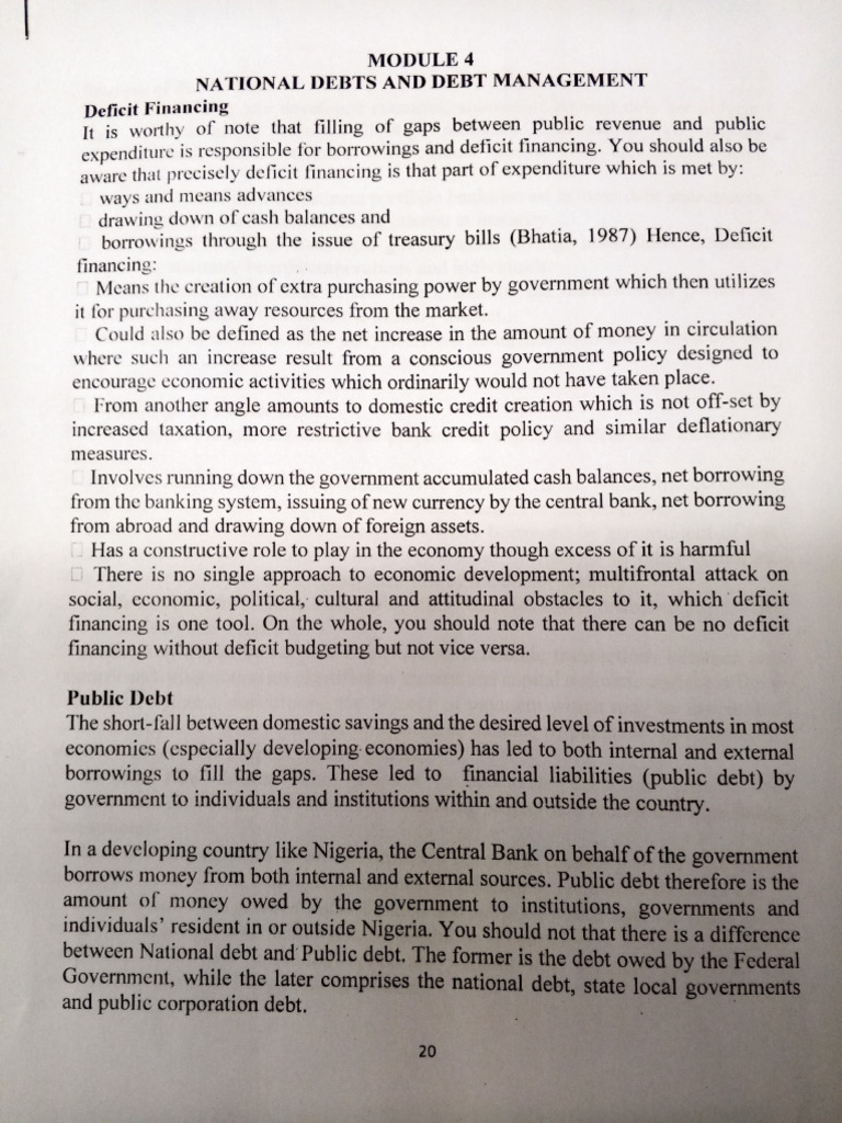 Eco 407 National Debt | PDF
