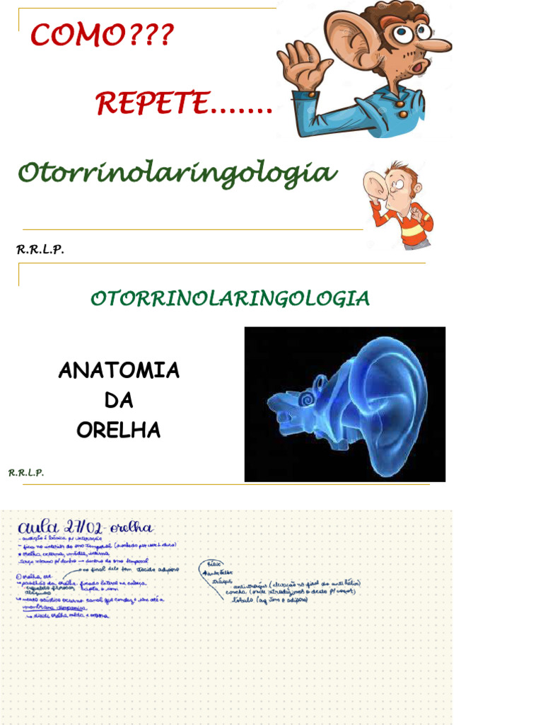 Aula Anatomia Da Orelha - 4º Período 2025.1 Ava 2 | PDF | Orelha | Audição