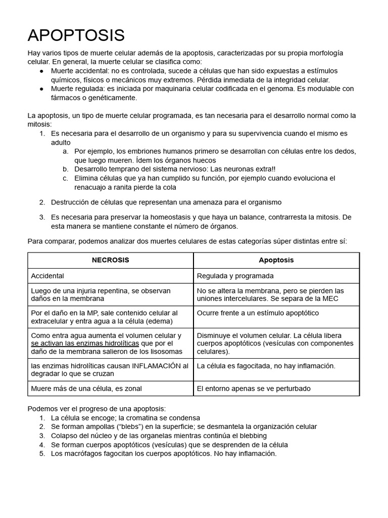 28 - Apoptosis | PDF | Bcl 2 | Caspasa