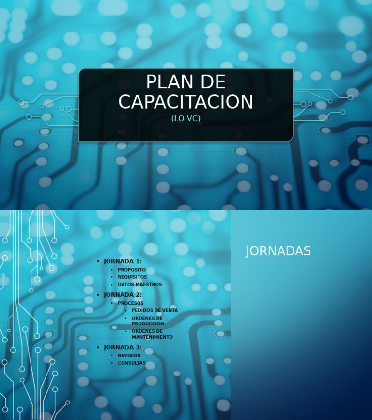 Plan de Capacitación LO-VC: Jornadas | PDF