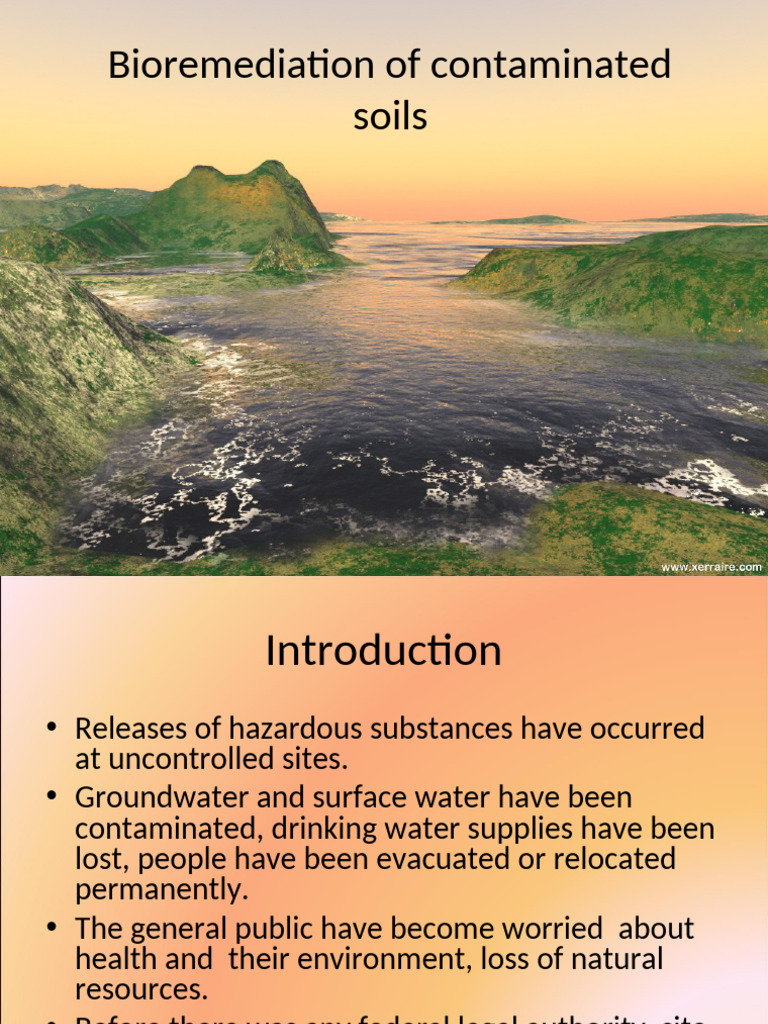 Bioremediation of Soils | PDF | Superfund | Pollution - Bioremediation Techniques For Soil Pollution