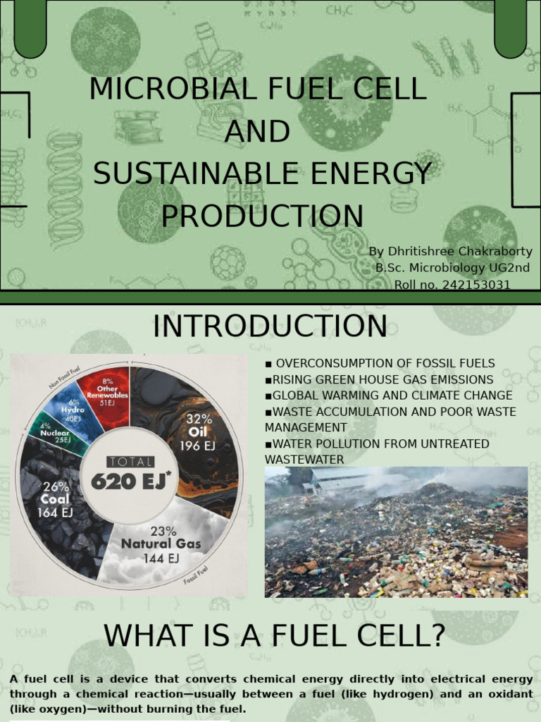 Microbial fuel cell and sustainable energy production_20250505_231536 ...