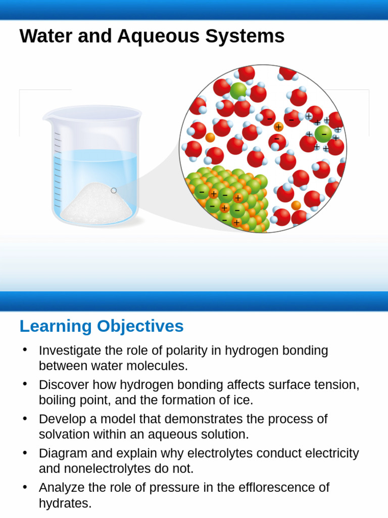 Water's Role in Aqueous Systems | PDF | Solvation | Chemical Bond