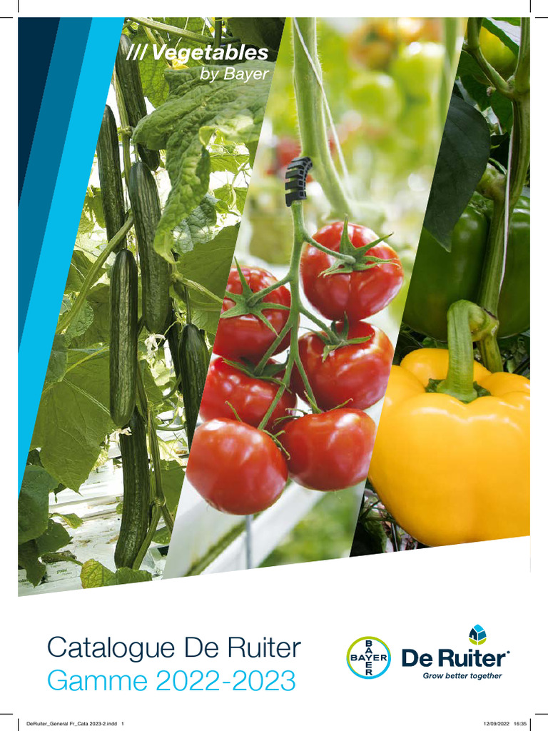 Catalogue Semences De Ruiter 2022-2023 | PDF | Tomate | Concombre