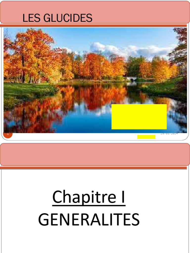 Classification et structure des glucides | PDF | Isomère | Glucide